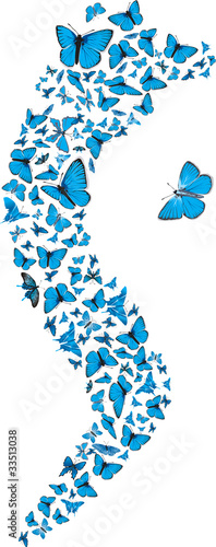 Blue butterflies swarm