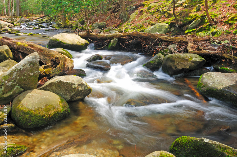 Mountain stream in the spring