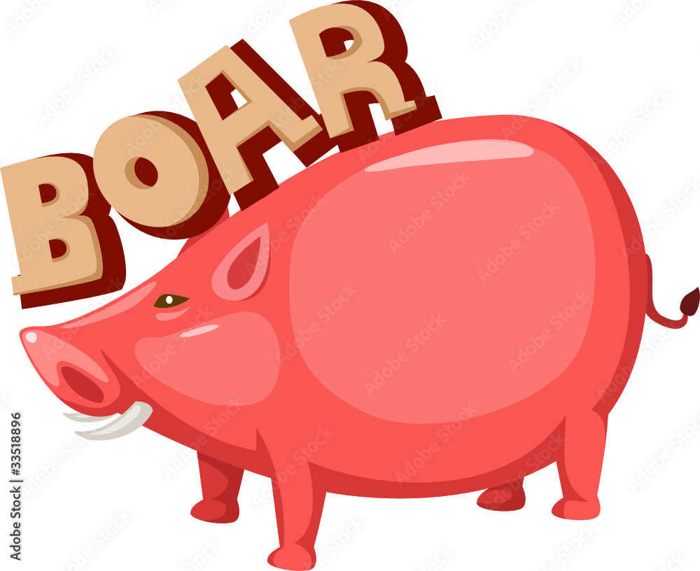 Fototapeta premium Boar