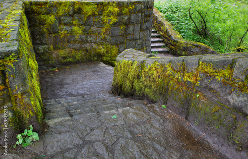 Mossy Stone Stairwells