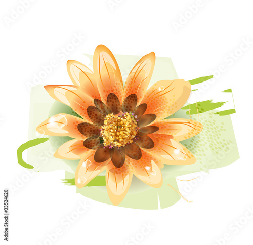 yellow flower with dew drops