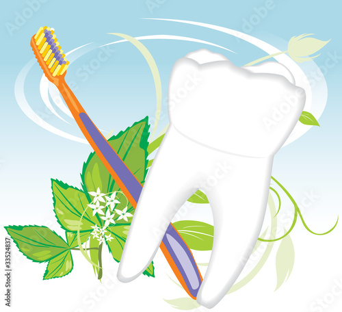 Tooth, toothbrush and mint sprig
