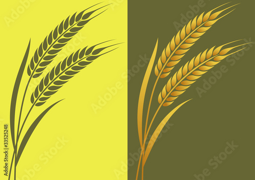 Wheat-1