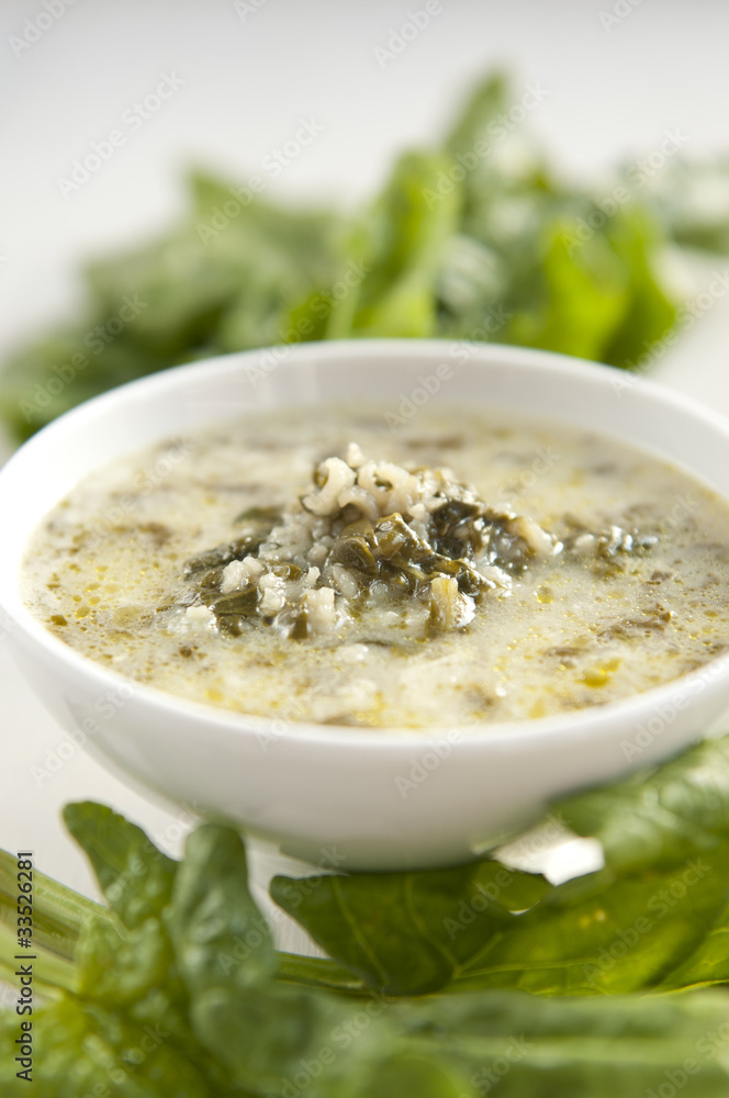 Traditional Bulgarian Spinach Soup Traditional Bulgarian Spinach Soup