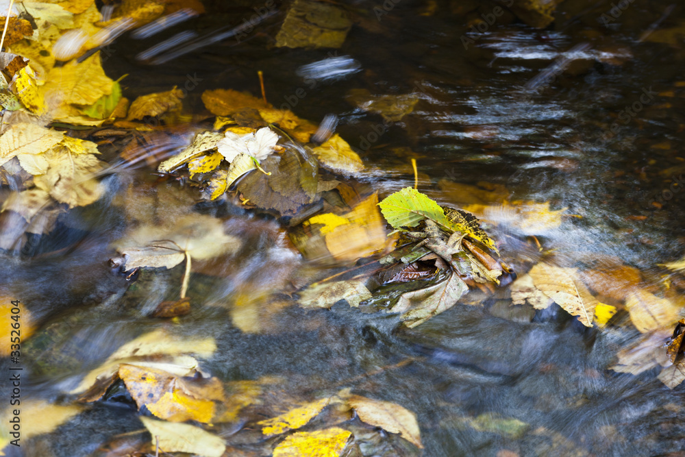 Brook with autumn leaves Brook with autumn leaves
