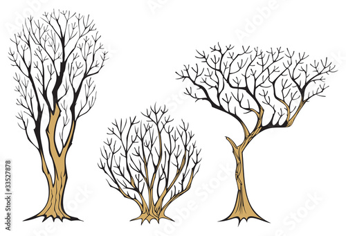 Set of three withered trees, with plenty branches, vector