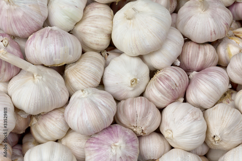 Group of Garlic Group of Garlic