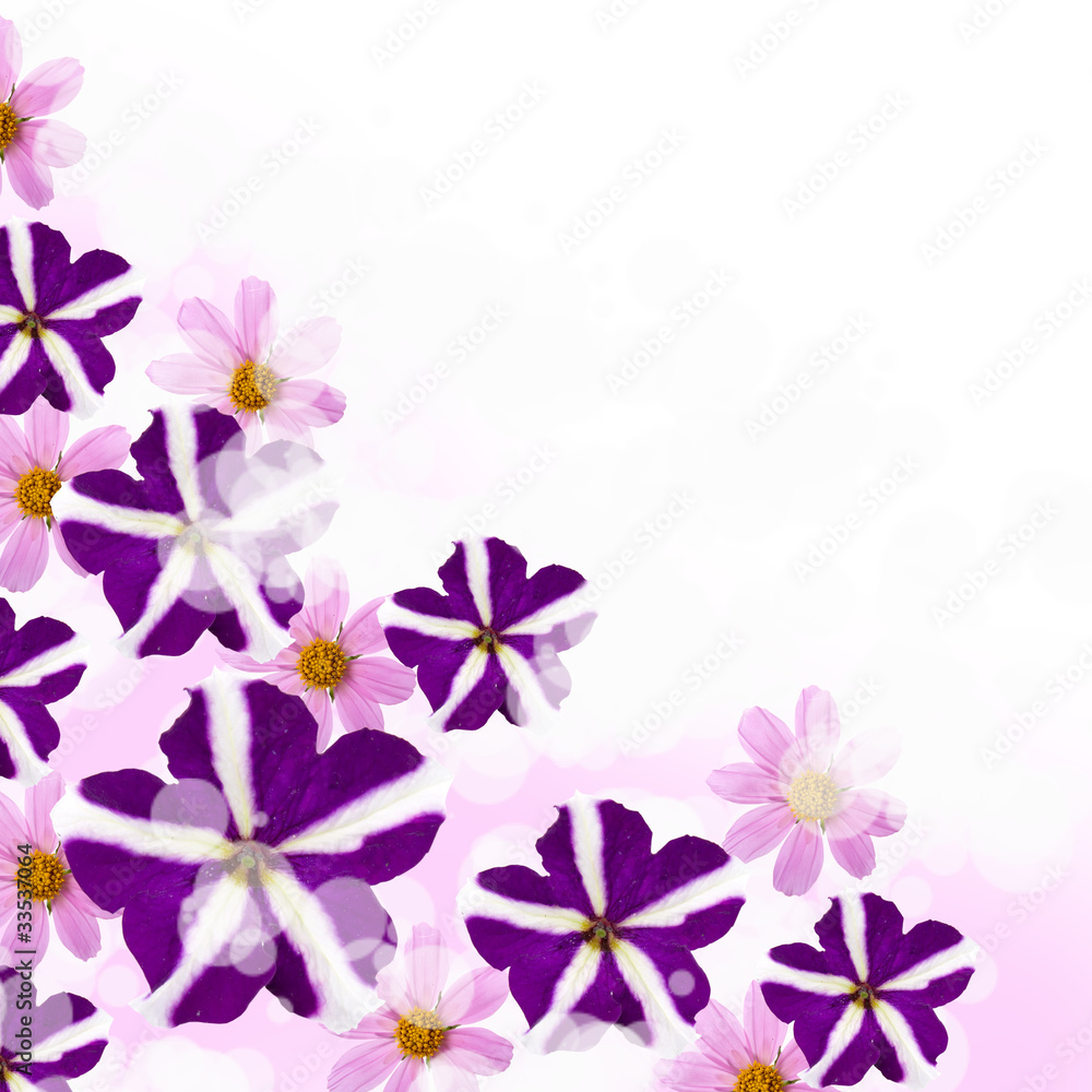 Fototapeta premium Beautiful flowes