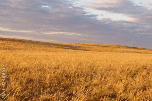 Beautiful sunset with heavy sky in steppe