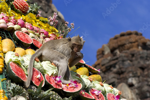 Monkey buffet festival in Thailand
