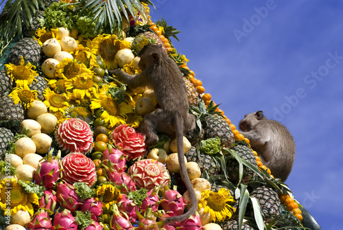 Monkey buffet festival in Thailand