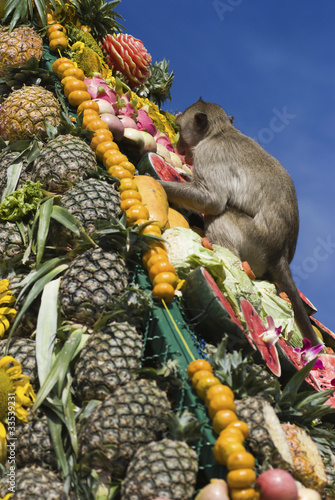 Monkey buffet festival in Thailand