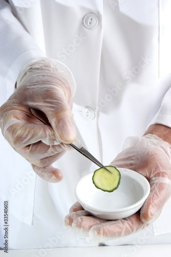 one slice of cucumber is being studied in the food laboratory