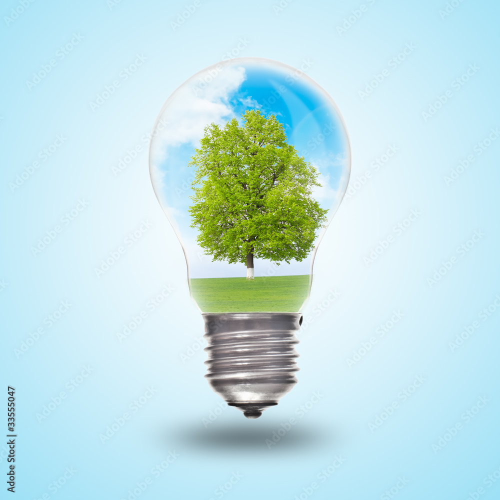 Light bulb with landscape inside Light bulb with landscape inside