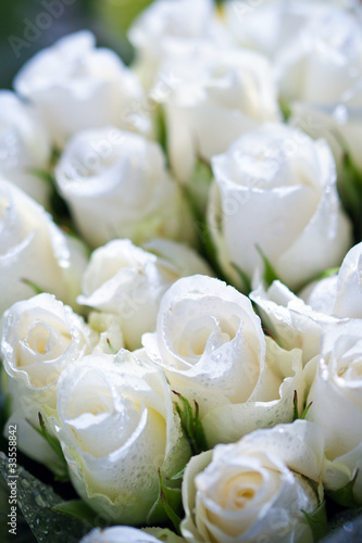 Bouquet de roses blanches