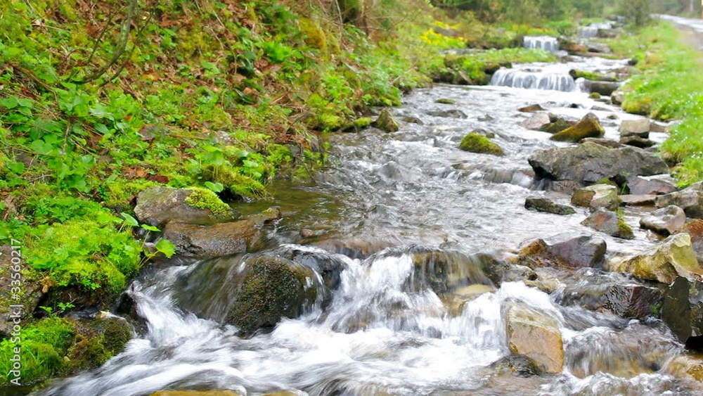 Forest brook running over mossy rocks Forest brook running over mossy rocks