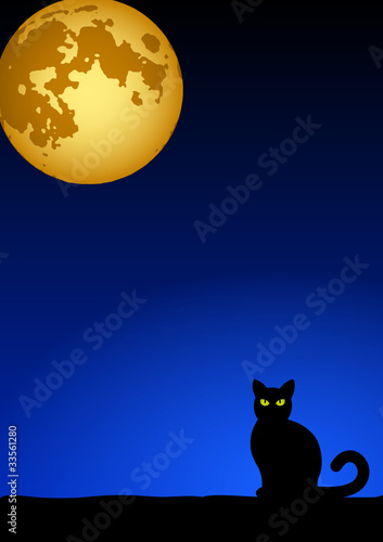 cat and moon