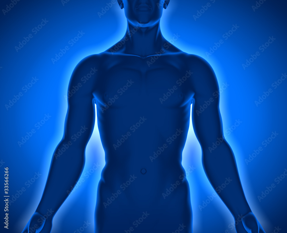 Fototapeta premium Männlicher Oberkörper