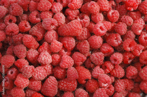 raspberry