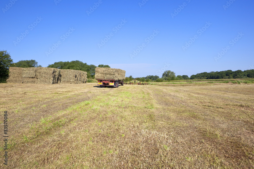 haymaking time 2