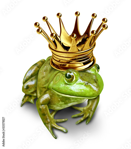 Frog prince with gold crown