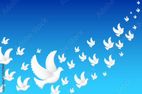 Flying Pigeon