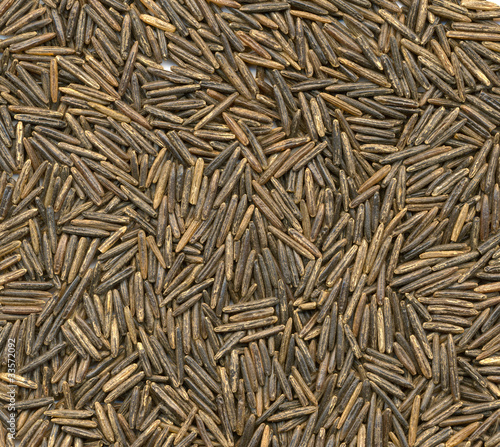 high resolution close-up background of black rice variety