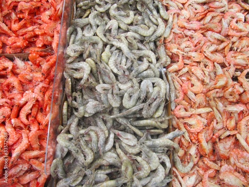 Langostinos crudos u cocidos congelados.