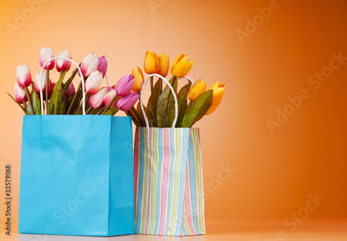 Tulips in the bag against gradient background