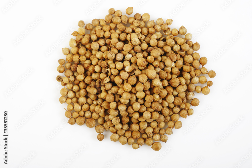coriander seeds on white coriander seeds on white