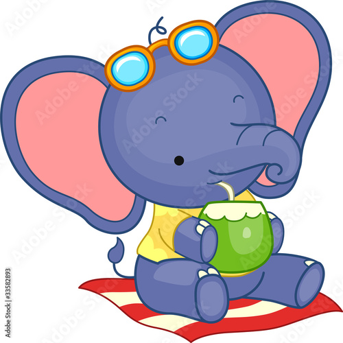 Summer Elephant