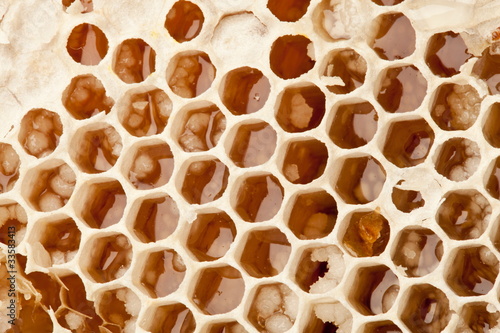 Honeycombs.