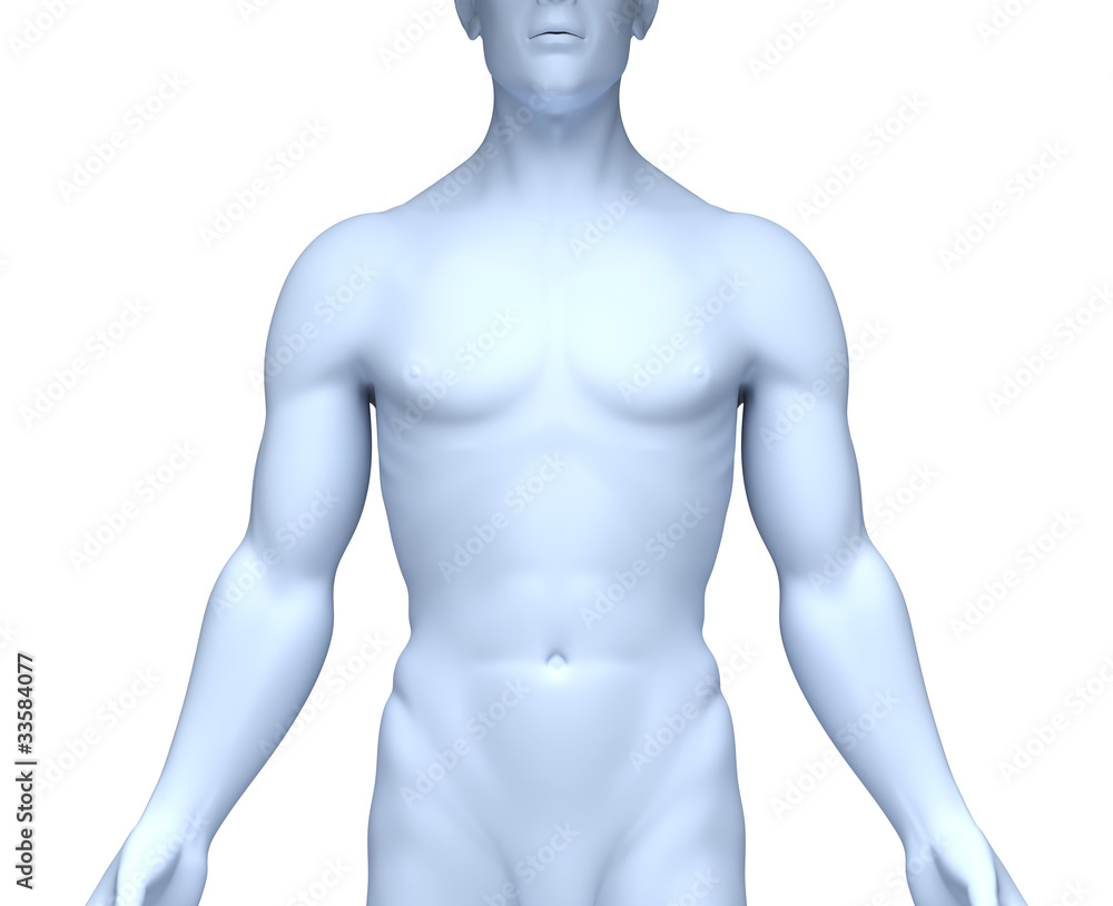 Männlicher Oberkörper StockIllustration Adobe Stock