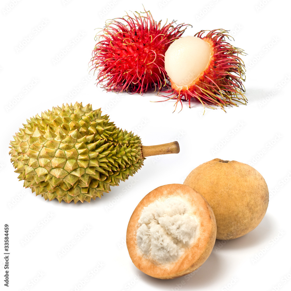 Set of Tropical Fruit isolated, Rambutan, Durian, Santol Set of Tropical Fruit isolated, Rambutan, Durian, Santol