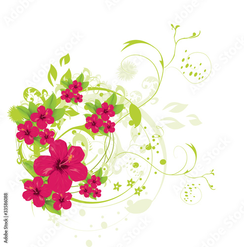 Hibiscus