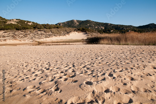 Sardinia, Italy: Olbia, sand dunes in Li Cuncheddi beach