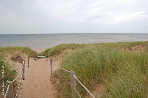 protected sand dunes