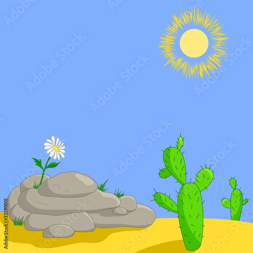 Flower on stones and cactuses