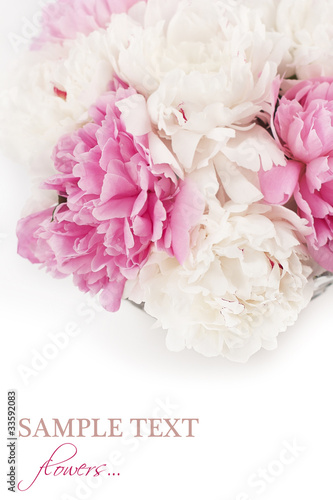 Beautiful peony flowers