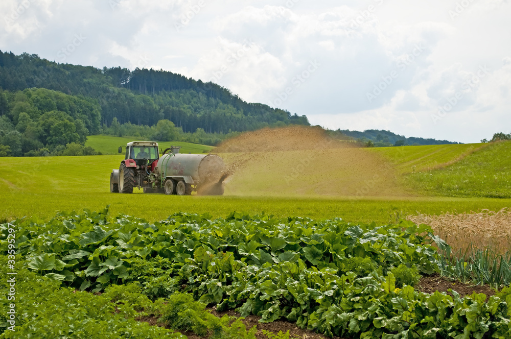 Naklejka premium Gülle