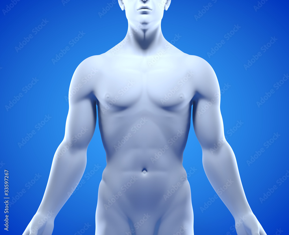 Fototapeta premium Männlicher Oberkörper