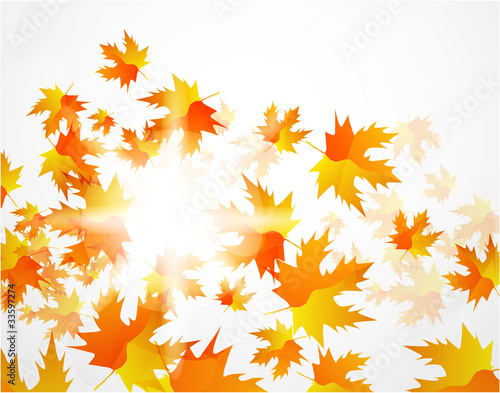 Vector autumn leaves abstract background
