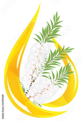 Melaleuca - tea tree.  Stylized drop of essential oil.