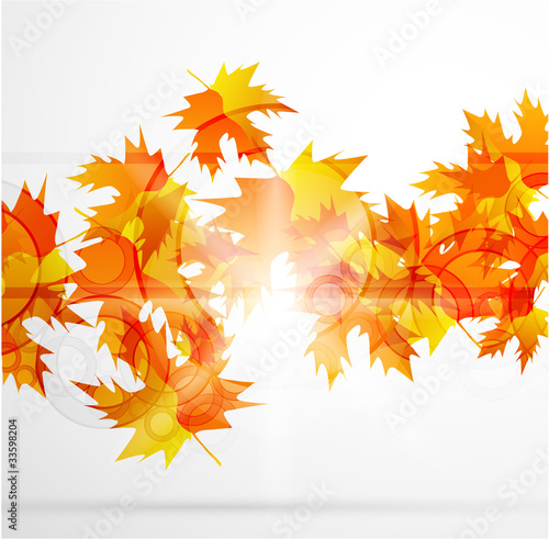 Vector autumn leaves abstract background