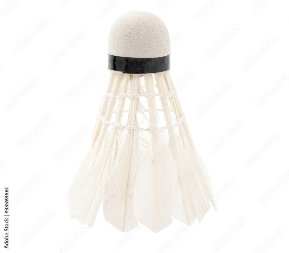 shuttlecock shuttlecock