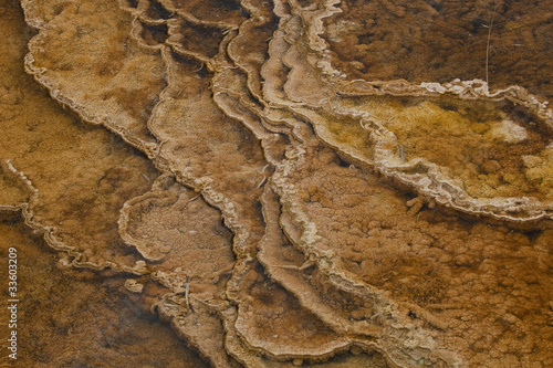 Mammoth Hot Springs