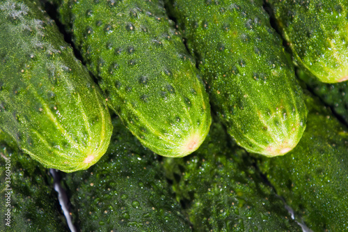Background of the cucumbers.