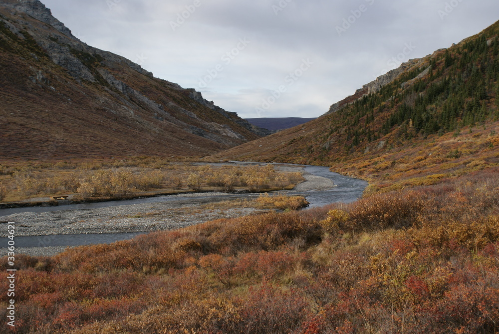 Denali Nationalpark in Alaska USA, Alaskarange