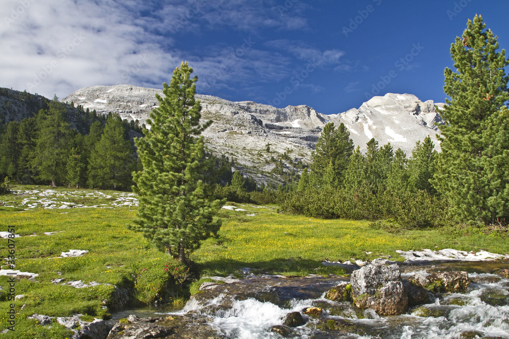 Bergbach in den Dolomiten Bergbach in den Dolomiten