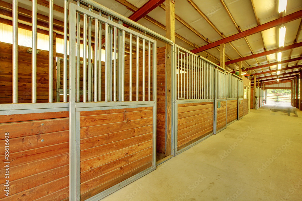 Large arena with horse stables